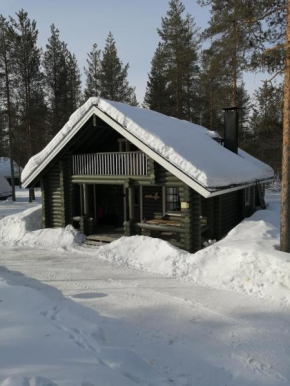Levihaukka 10